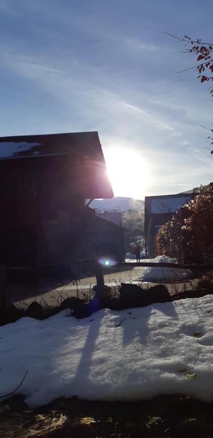 Chalet Montagne 11 P Grand Massif 100 M Télécabine